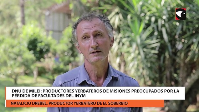 DNU de milei productores yerbateros de misiones preocupados por la pérdida de facultades del INyM