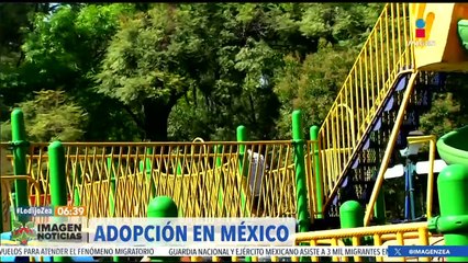 Adopción en México: Cifras y proceso