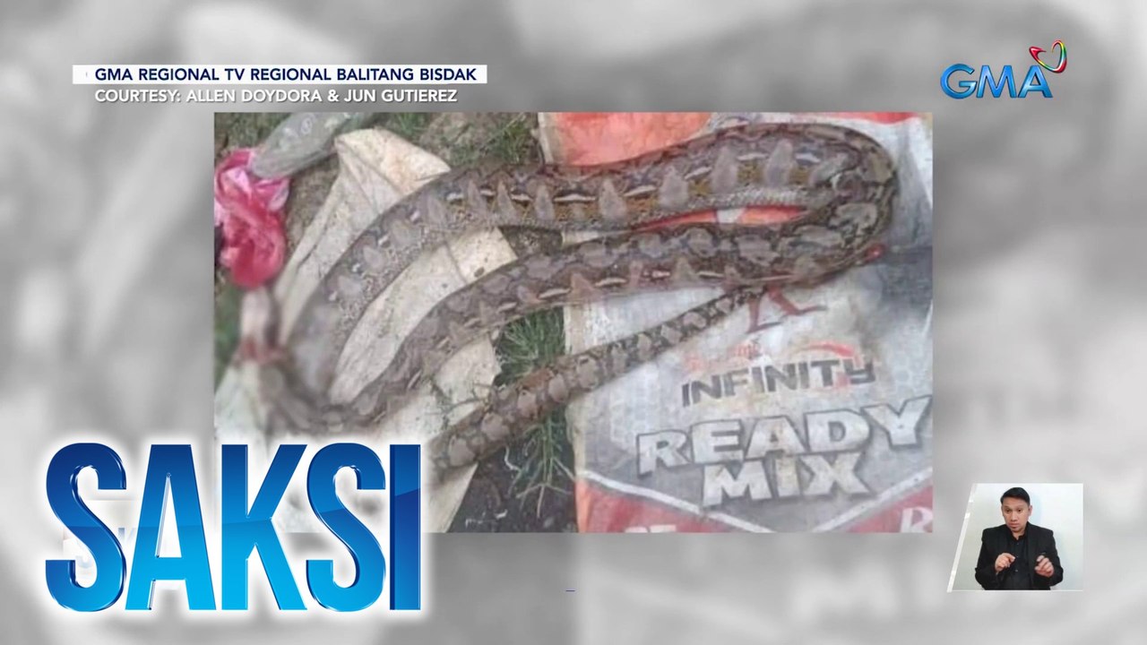 Lalaki at sawa, nagpambuno; sawa, patay matapos kagatin ng lalaki | Saksi