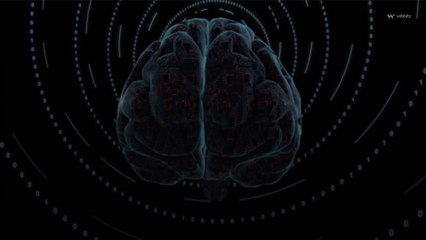 Le casse-tête énergétique du cerveau humain, enfin percé à jour ?