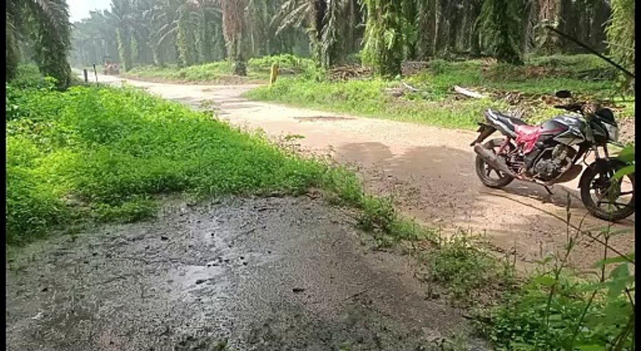 It's raining in Indonesia so it's a bit disturbing to do activities