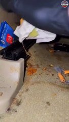 Mobile Car detailing columbus ohio