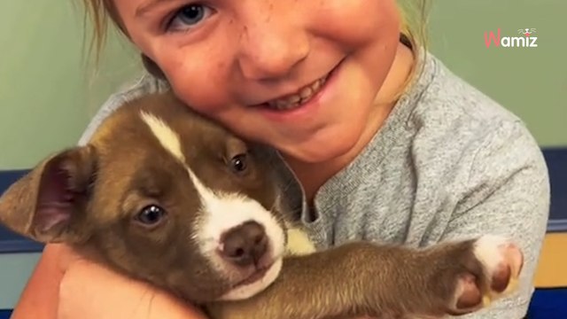 Une association emmène des chiots abandonnés dans une classe d'école primaire : la magie opère rapidement