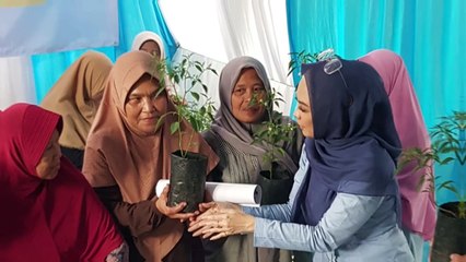 Harga Melambung Tinggi, Inggrid Kansil Ajak Warga Depok Tanam Cabai di Rumah