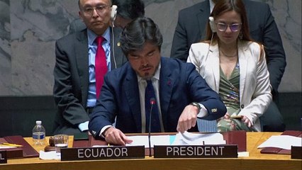 مجلس الأمن الدولي يدعو إلى زيادة المساعدات الإنسانية لغزة