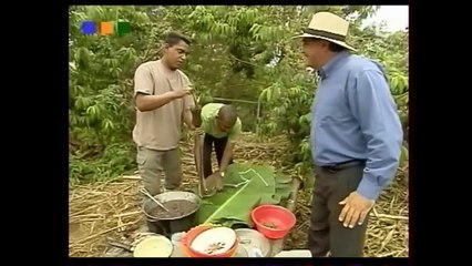 un p'tit reportage sur la Réunion traditionnelle