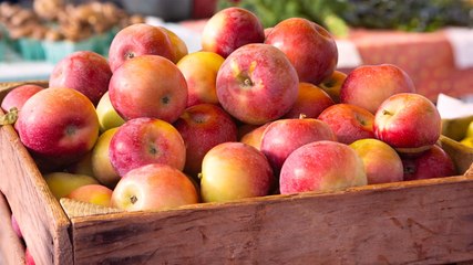 What Is a Root Cellar? Plus 7 Tips for Keeping Veggies Fresh in One