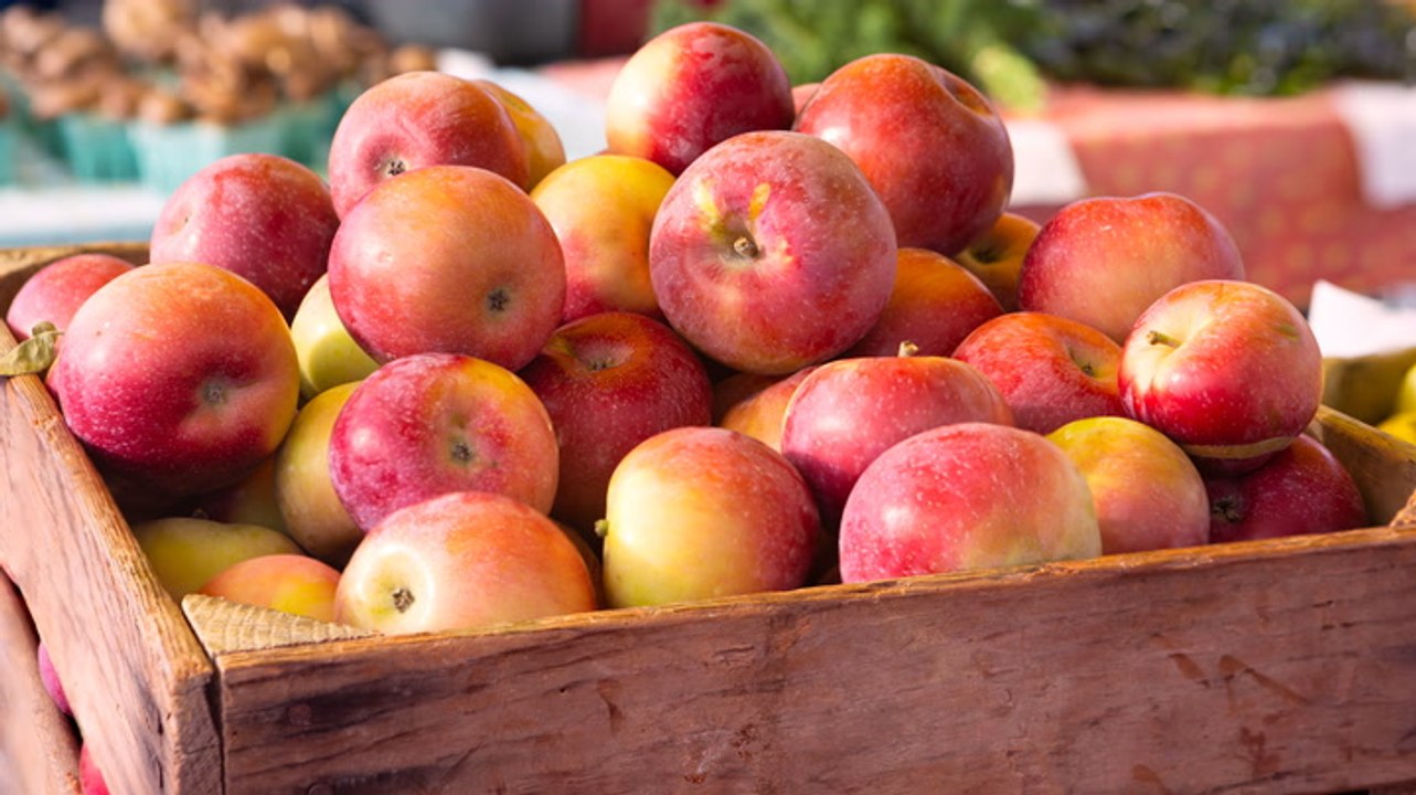 What Is a Root Cellar? Plus 7 Tips for Keeping Veggies Fresh in One