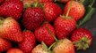 Study Suggests Strawberries May Boost Cognitive Health
