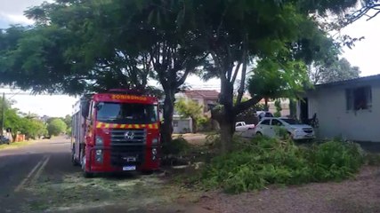 Download Video: Militares do Corpo de Bombeiros realizam poda de árvore no Santa Felicidade