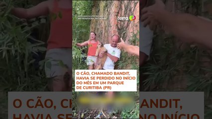 Tutora se emociona ao encontrar cachorro após 21 dias: 'Acabou o pesadelo' #shorts