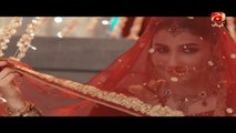 Teray Pyar Mai - Telefilm _ Eid Day Special _ Agha Ali _ Hina Altaf