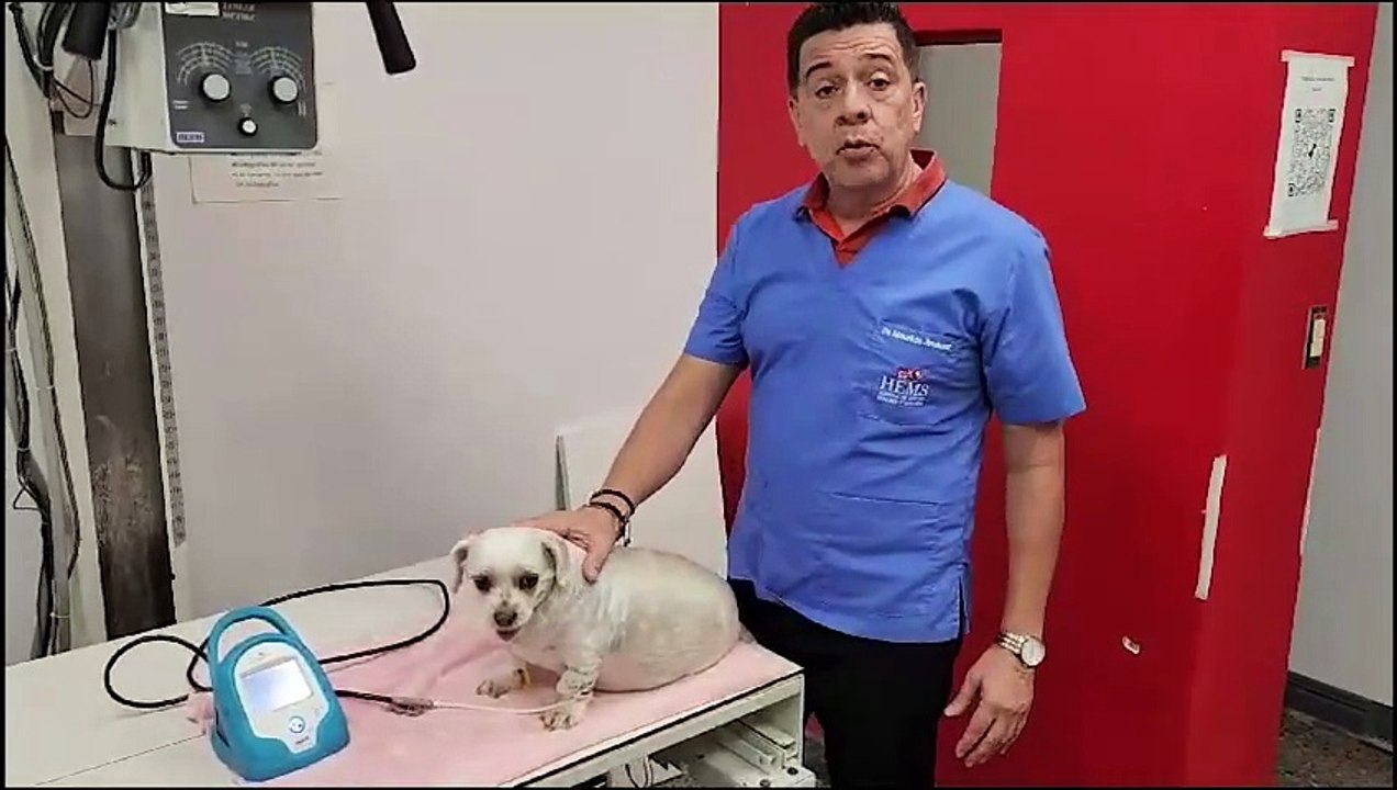 ext-declaraciones-mauricio-jimenez-221223