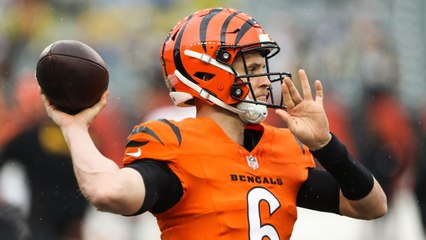 Bengals Looking for Crucial Victory to Boost AFC Standing