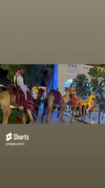 حي حراء الثقافي