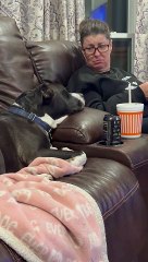 Conversation With Pouting Pit