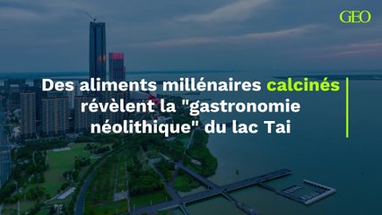 Des aliments millénaires calcinés révèlent la "gastronomie néolithique" du lac Tai