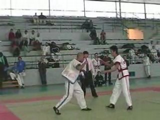 8 TOURNOI INTERNATIONAL SHAI-JIAO SHOU-BO PARTY 3