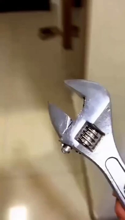 Funny Cats