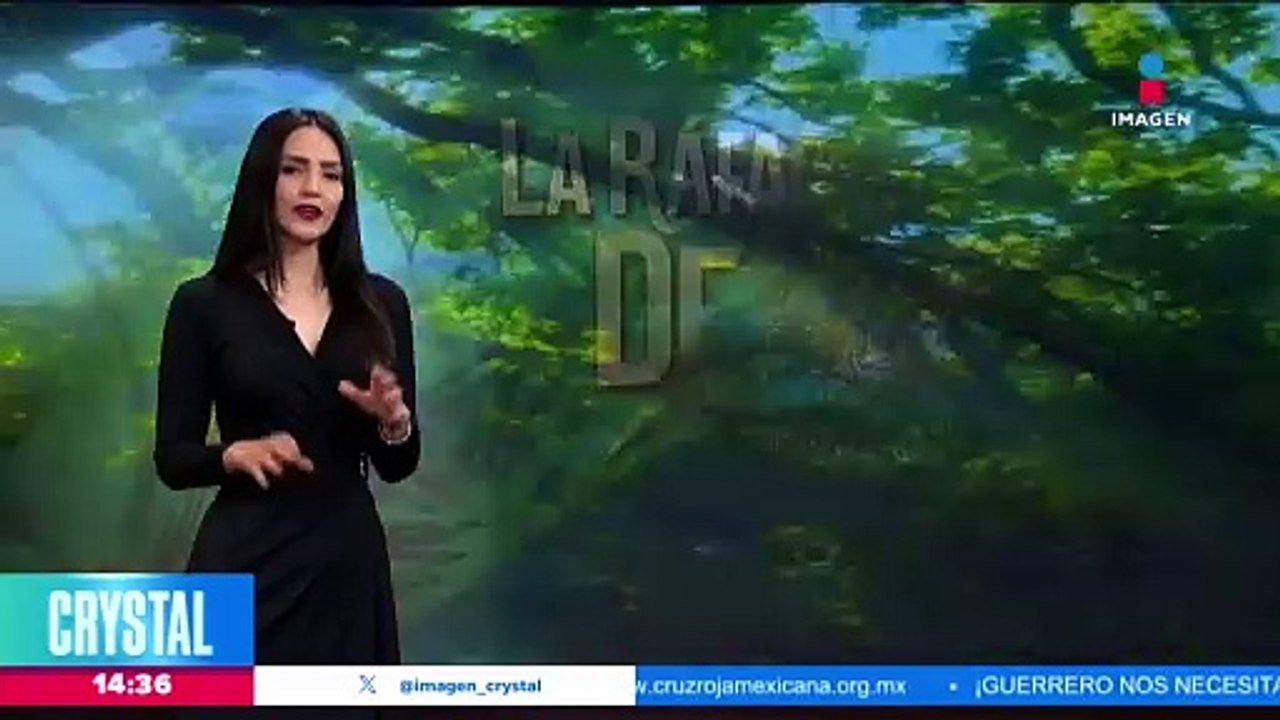La NOAA muestran un viaje visual del 2023