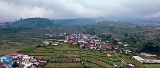 OFFICIAL TRAILER SIJJIN