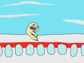 Mile High Club