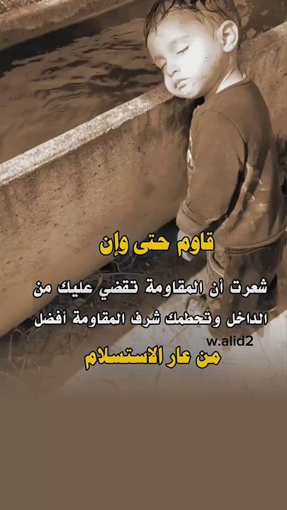 null(MP4)_12