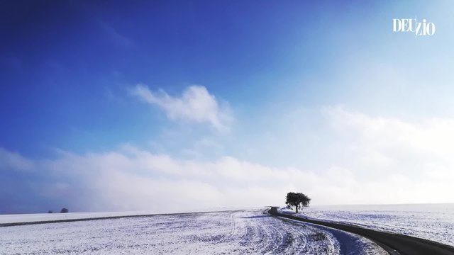 Travaux du jardin - 23 décembre 2023 : de l'utilité de la neige