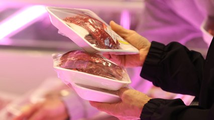 프랑스·아일랜드산 쇠고기 수입 허용...한우 농가 "유감" / YTN