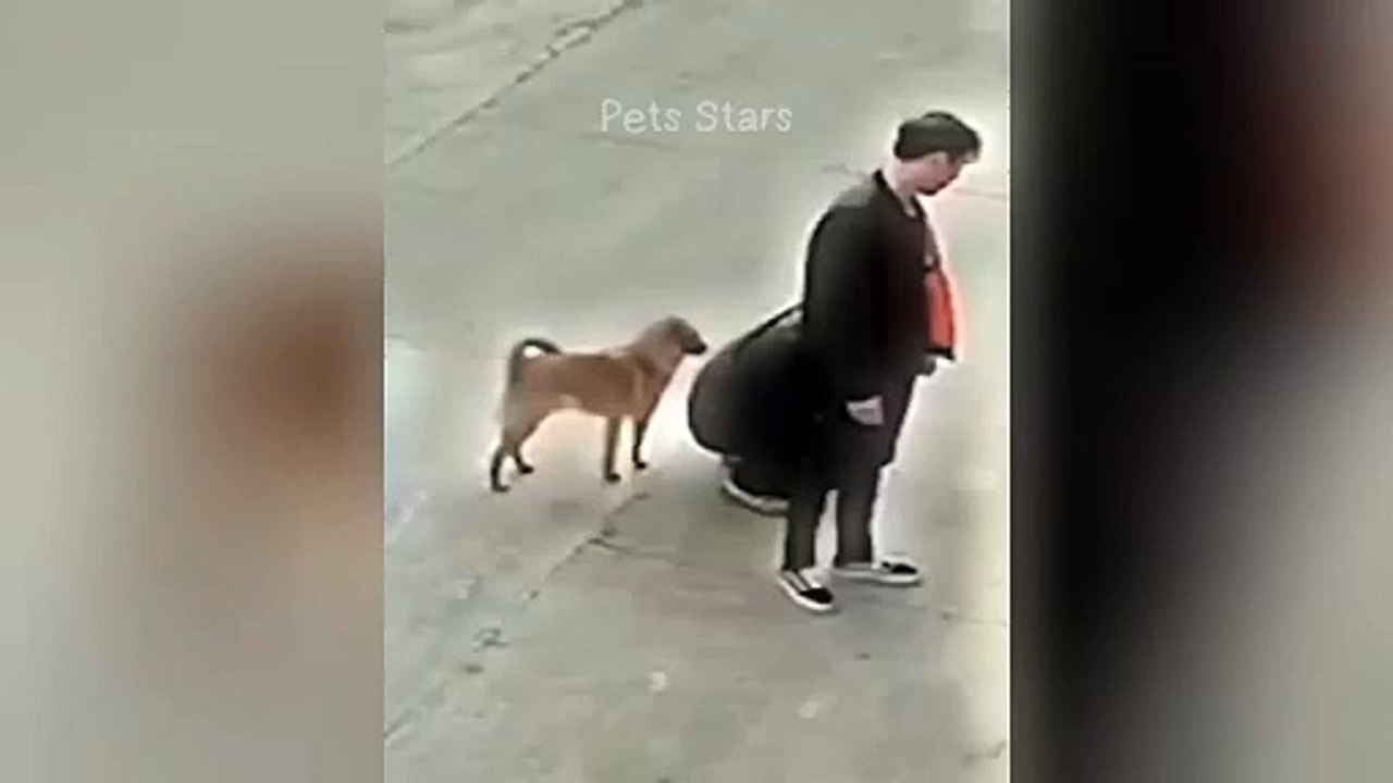 ytshortsindia morsomt haha ​​​​#cutebaby#comdy #comedys #babs#comedyshorts#cuteanimalsytshortsindia#ytshortsindia 有趣哈哈#cutebaby #comdycomedys #ba#comedyshorts #cuteanimals#ytshortsindia#ytshortsindiaمضكههههه#cutdy #comedys #babs#comedyshorts#cuteanimals#y