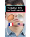 Pourquoi aux USA les œufs sont blancs ?