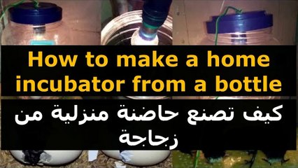How to make a home incubator from a bottle | كيف تصنع حاضنة منزلية من زجاجة