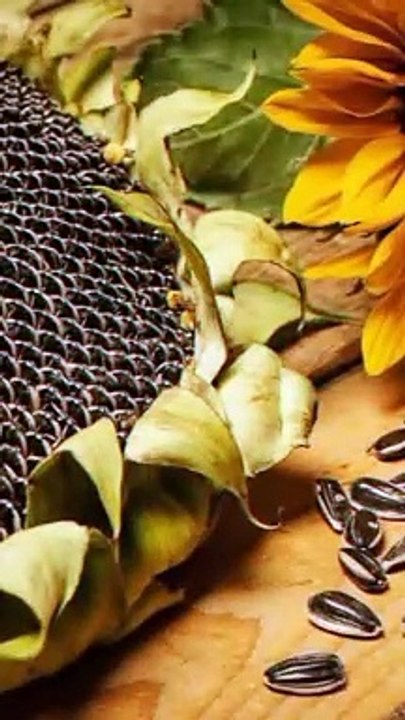 सूरजमुखी के बीज खाने के 3 लाभ #health