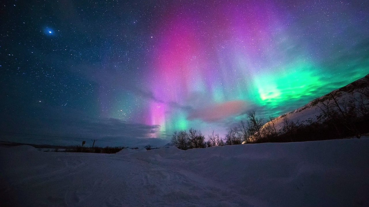 Trailer zu „Die wilde Herde“