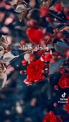 9e1f988a7 منوعات
