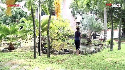 Thạch Lan - Tập 24 | Phim Tâm Lý Gia Đình Việt Nam 2023 🎬