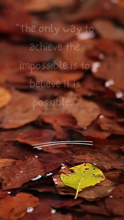 #Power Up Your Day: Motivation Matrix Bites#motivation video #unlock #daily #unleashing