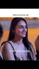 Comedy with Armandillo the goloso .