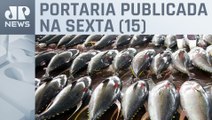 Governo suspende pesca de atum até dia 31 de dezembro