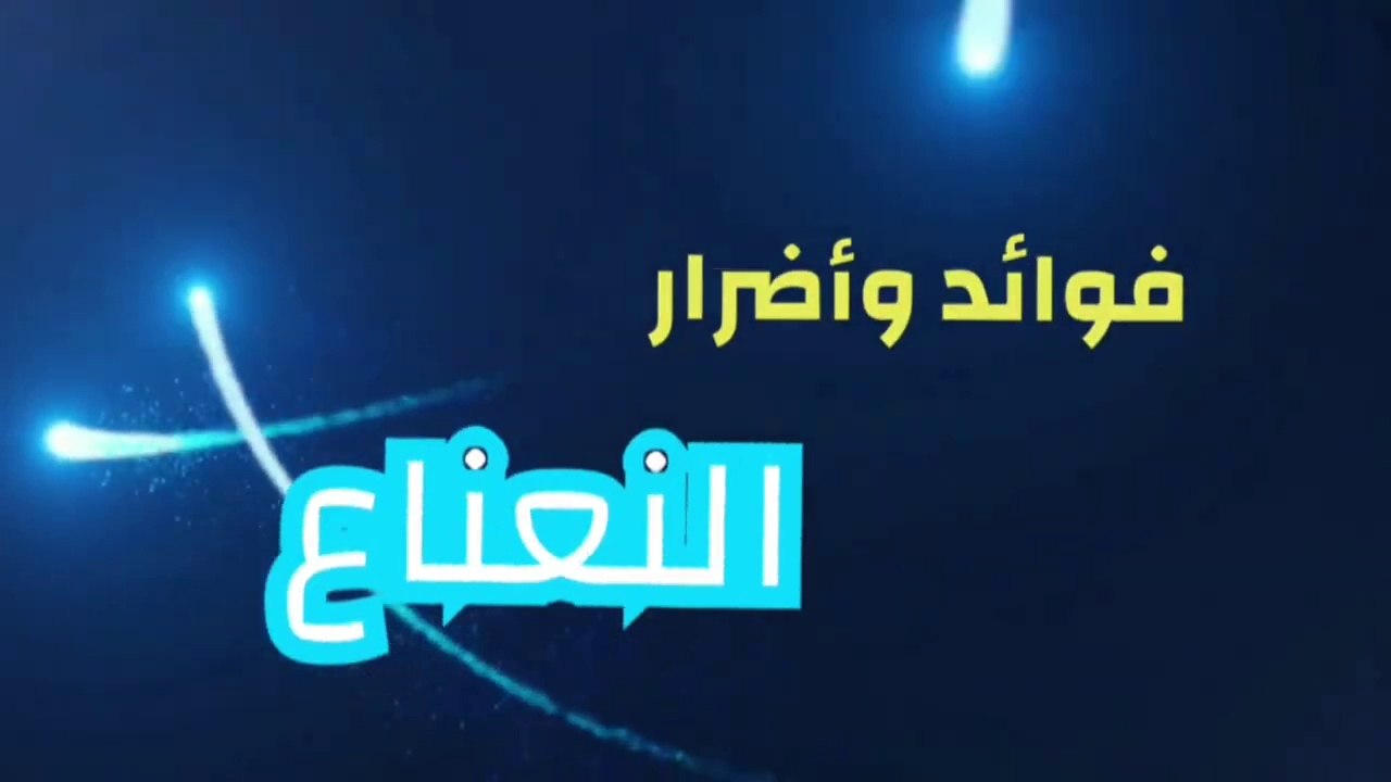 فوائد النعناع وأضراره _ وهل يضر المرأة الحامل والطفل الرضيع ؟؟؟(720P_HD)