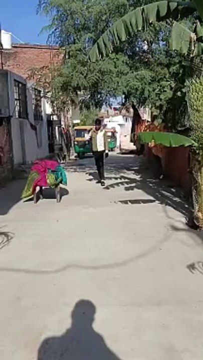 Road me masti