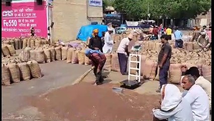 कोटा भामाशाहमंडी में कृषि जिंसों के भाव