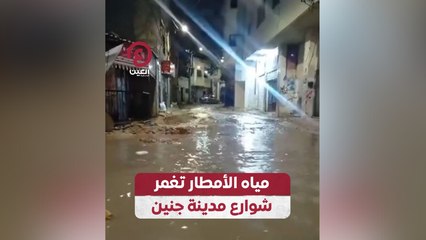 Скачать видео: مياه الأمطار تغمر شوارع مدينة جنين