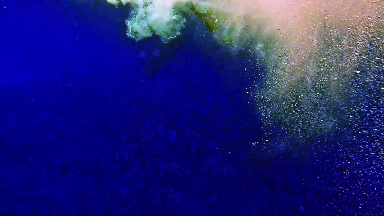 Swimming With Humpback Whales