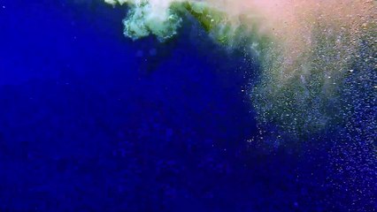 Swimming With Humpback Whales