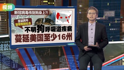 不明呼吸道疾病蔓延美国   新冠病毒传到到狗身上？！