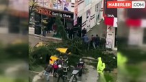 Rize Ardeşen'de Fırtına Sonucu Devrilen Ağaç Taksilere Zarar Verdi