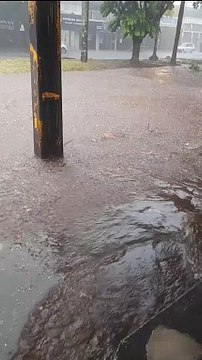 Temporal atinge a região, derruba árvores e causa pontos de alagamento em Umuarama