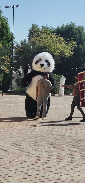 Dancing panda