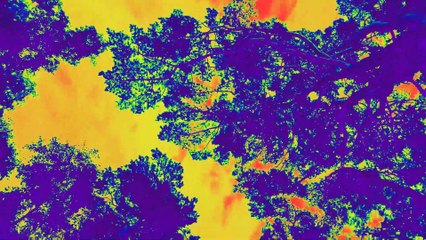 Elemental Maze | Akira Nagasaki Video